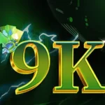 9K